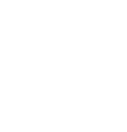 Elixir 77